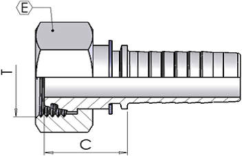 6 O/D 'S' Female Straight x 1/4" Hose