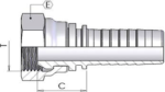 1/8" BSP Female Straight x 1/4" Hose