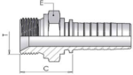 1/8" BSP Male Straight x 1/4" Hose