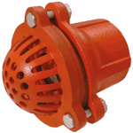 Foot Valve BSPP